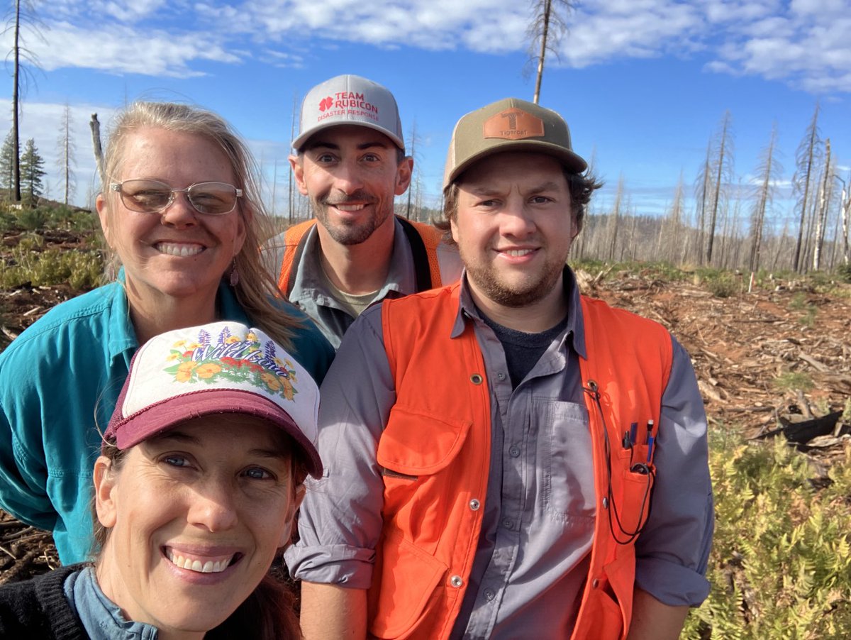 UCsierraforest's tweet photo. Monitoring reforestation in the #CaldorFire with the #eldoradoRCD yesterday around Grizzly Flats. Planted trees including ponderosa pine and cedars were looking fat and happy a year after planting. Shrub growth (which competes with trees) was minimal &amp; fuels were low. Promising! https://t.co/D3cvSWCXXB