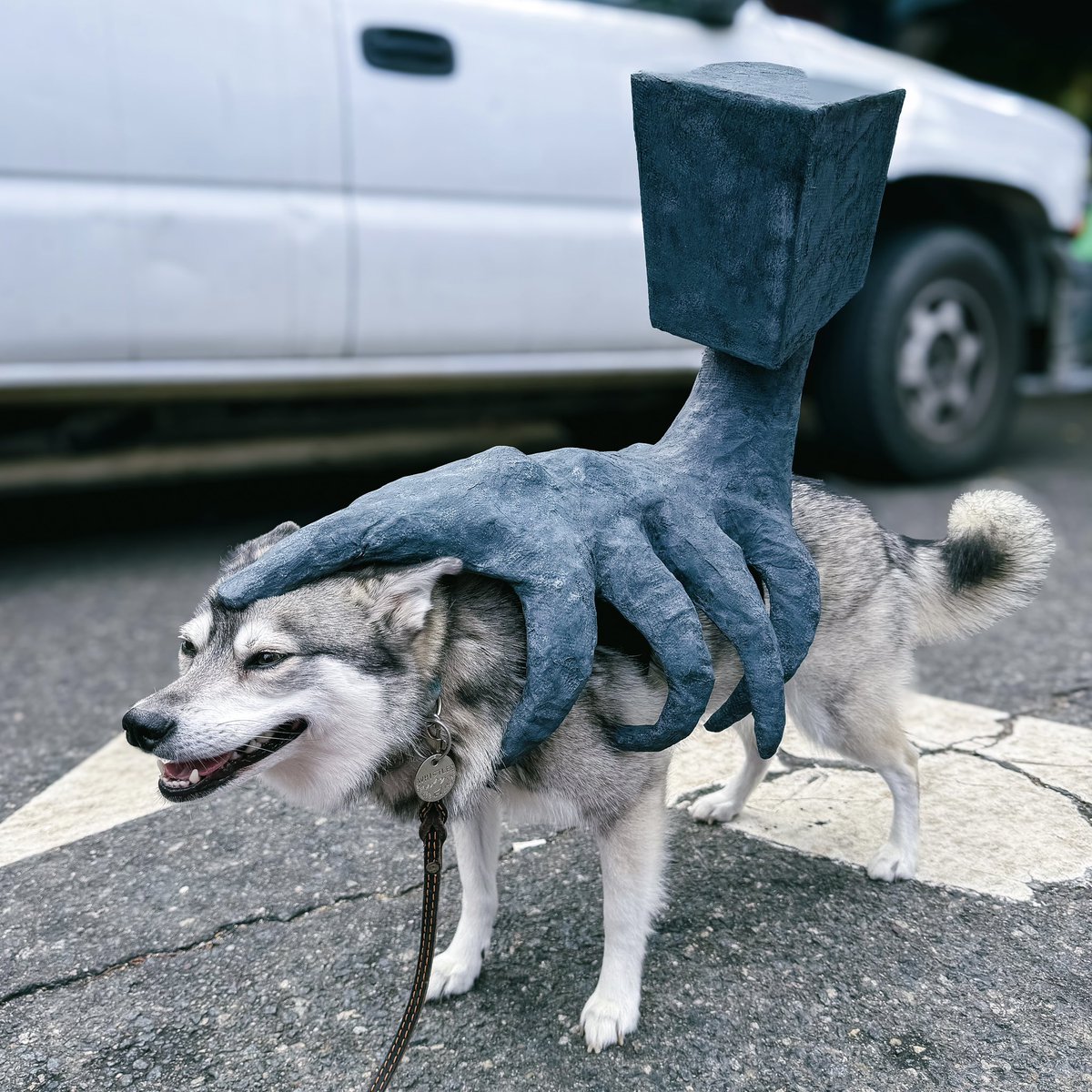 Melissa Shim tweet media