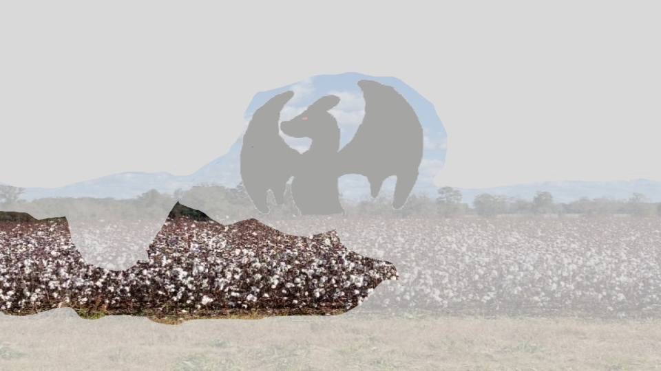 Happy Halloween y'all!

This ghostly derg roams throughout the rural south in spirit, appearing to all who believe and none who do not in the wee hours of October 31st within the fog.

The inspiration behind this image comes from my view of a cotton field through some thick fog.