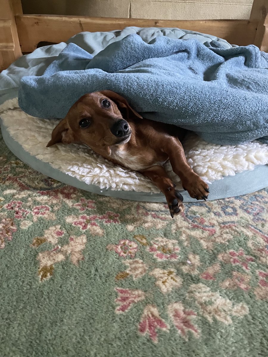 Marvin and Walter tweet media