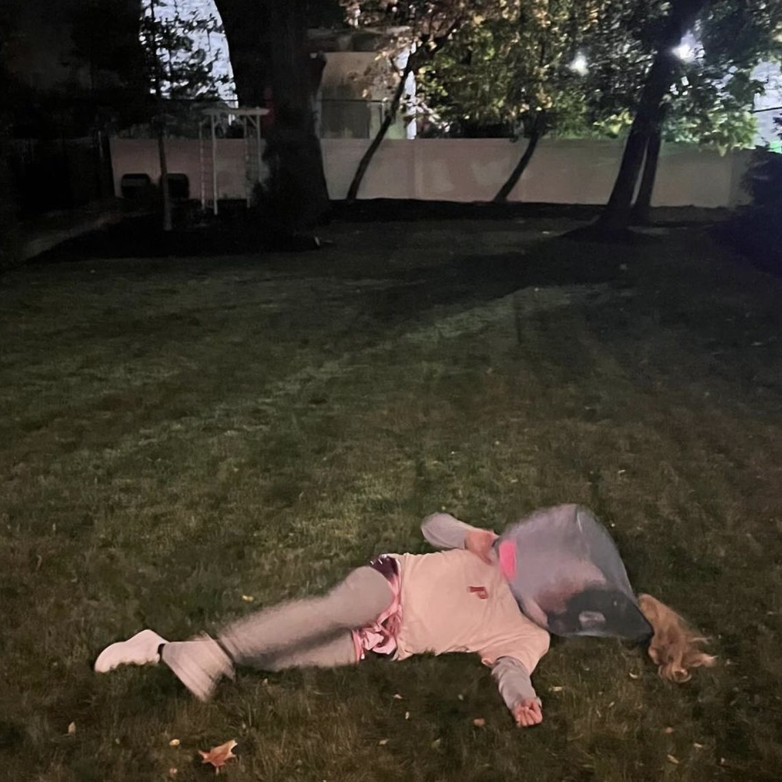 michaelpisaur0's tweet photo. I hate gay halloween, wdym you're a beached Pearl the whale https://t.co/PzyqlhIR3c