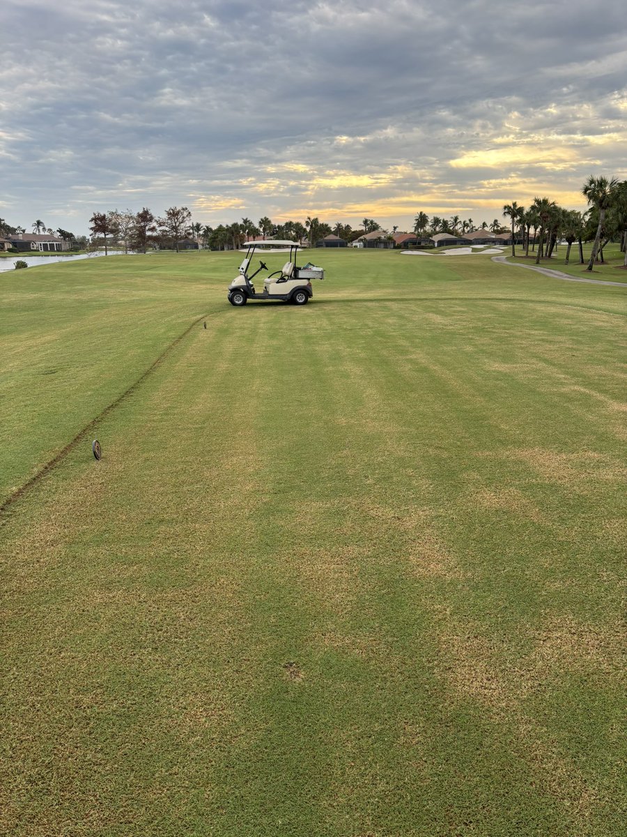 AndysTurf's tweet photo. Having Fall color issues? Try our @SimplotTurf program for getting your short grass gorgeous this challenging time of year! #extremegreen16 #ambientplus #rapture https://t.co/8d09dmeODC