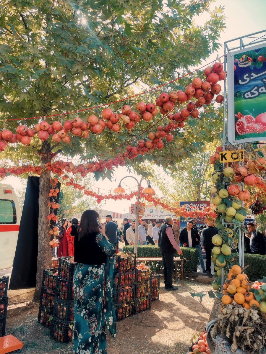 nnmaa_a's tweet photo. Loving this time of the year #pomegranateFestival https://t.co/KPdEwDH0Vp