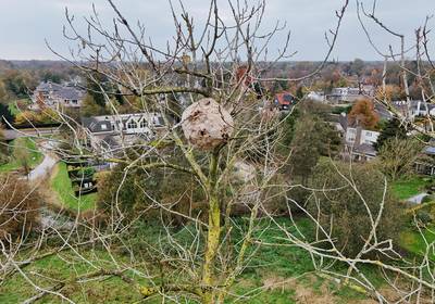 Brabants Dagblad tweet media