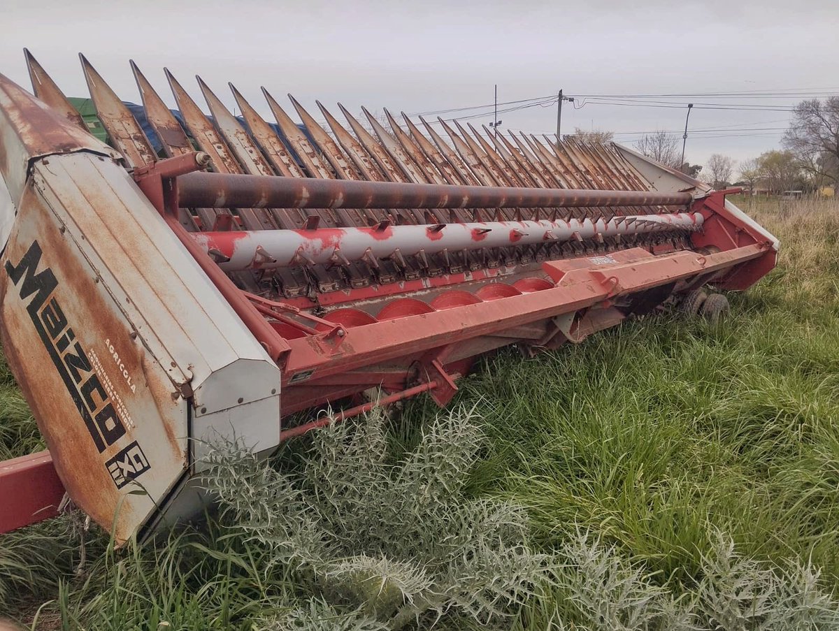 9Comercial's tweet photo. NUEVO INGRESO‼️

COMERCIAL 9 DE JULIO, 25 años 👩🏻‍🌾🧑‍🌾

☎️02317-433110
📍RUTA 5 KM 265 - 9 de Julio (B)
📲2317-555264/5
📲2317-532635 https://t.co/am6OWbzPHb