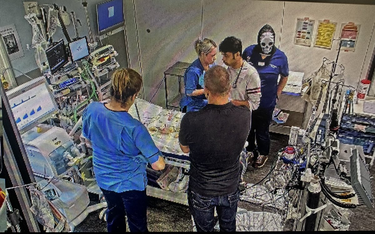 mark davidson tweet media