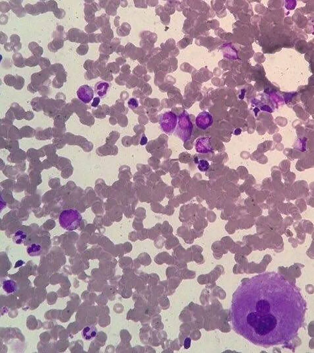 Nico Gagelmann tweet media