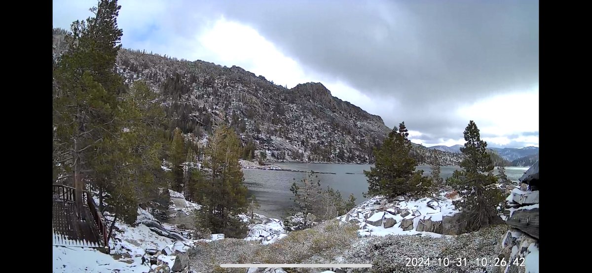 Echo Cam tweet media