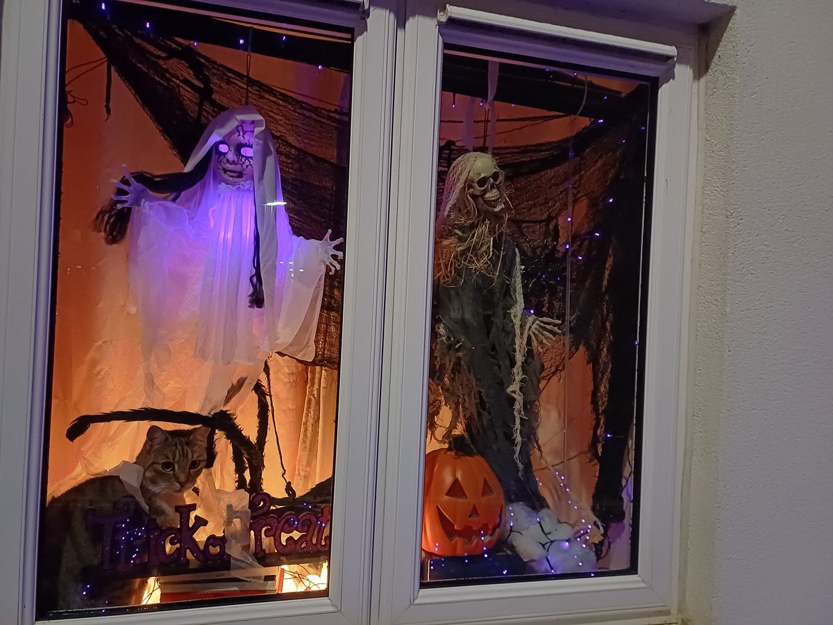 Joseph Kiel tweet media