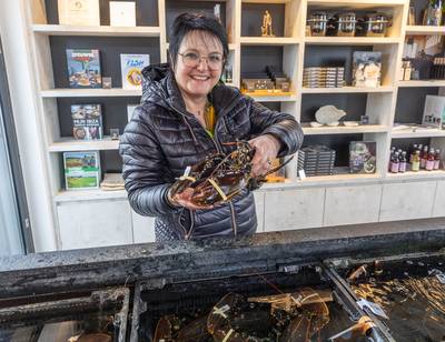 BN DeStem ZVL tweet media