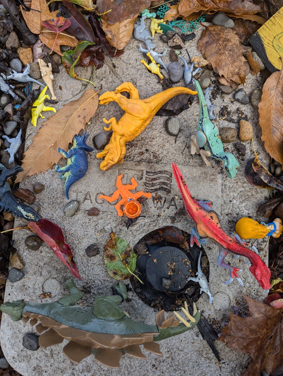 evergreener tweet media