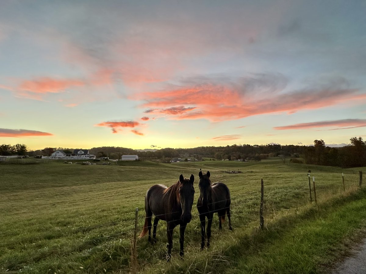 Good morning…..it’s all going to be okay.