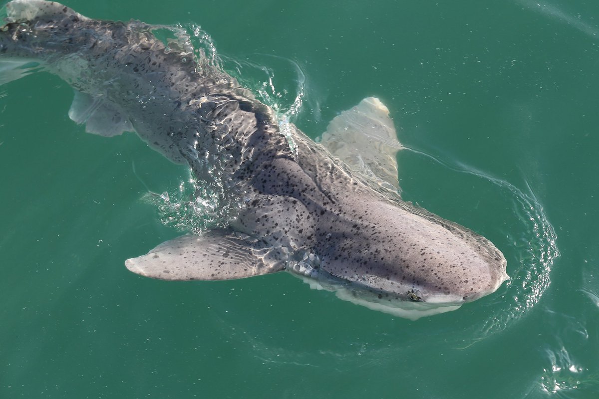 Jeremy Roberts tweet media