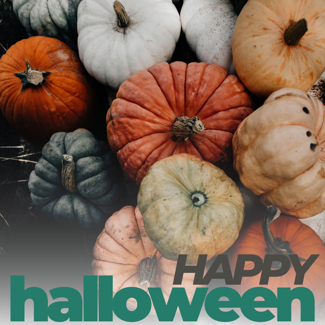 1PriorityRoof's tweet photo. Happy Halloween from the team at 1st Priority Roofing!

#1stpriorityroofing #1stpriority #roofingrepairs #roof #roofreplacement #commercialroofing #trustedroofer #roofmaintenance https://t.co/qPen9ojvzG