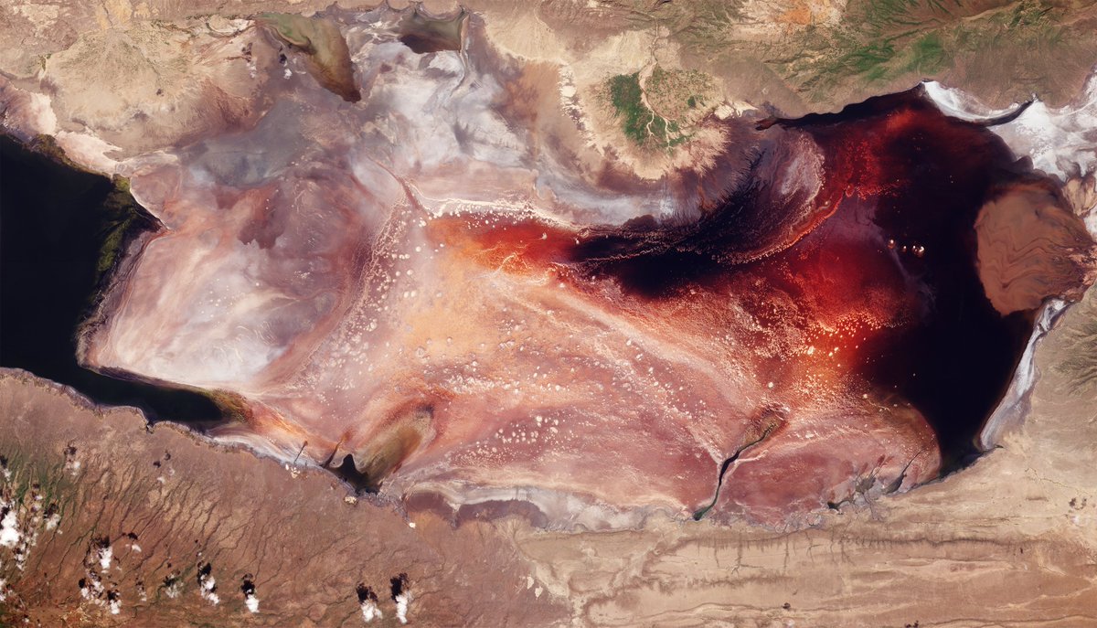 planet's tweet image. We live on a sphere spiraling through eternal cosmic darkness around a supermassive black hole awaiting the ultimate heat death of the universe. It’s fairly easy to forget that frightening fact when you live on this stunningly majestic pale blue dot. But move a little closer and…