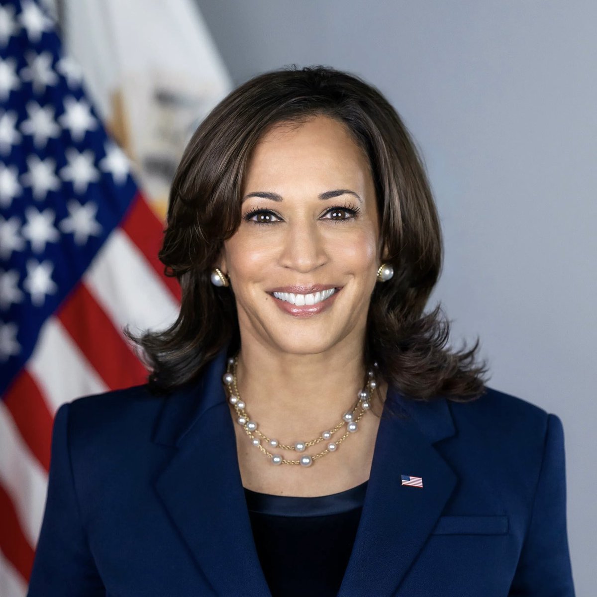 Syrax's tweet photo. Syrax has endorsed Kamala Harris for president. https://t.co/RSdAfiwT57