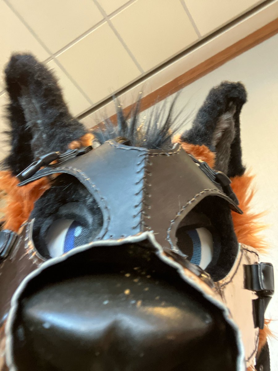 DeckerCrossFox's tweet image. It Halloween