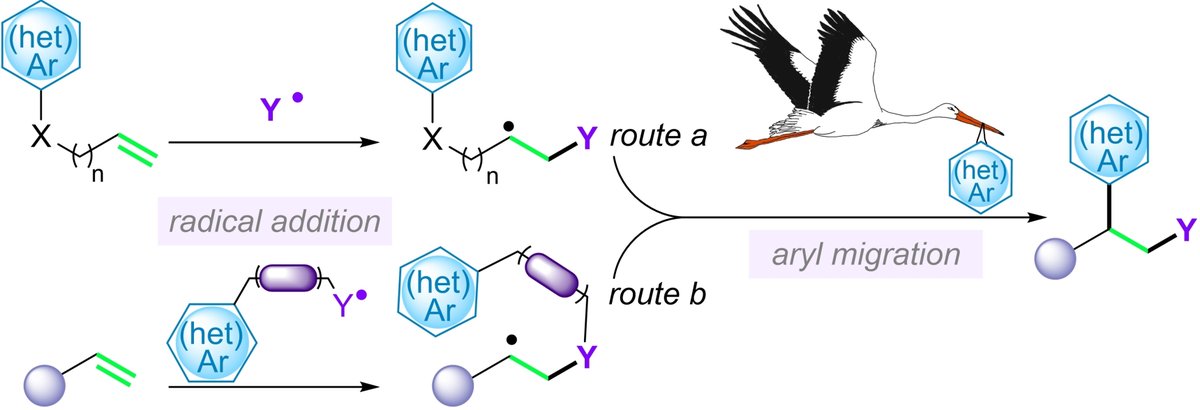 Interested in the radical difunctionalization of alkenes? Please check our recent review involving distal aryl migration!