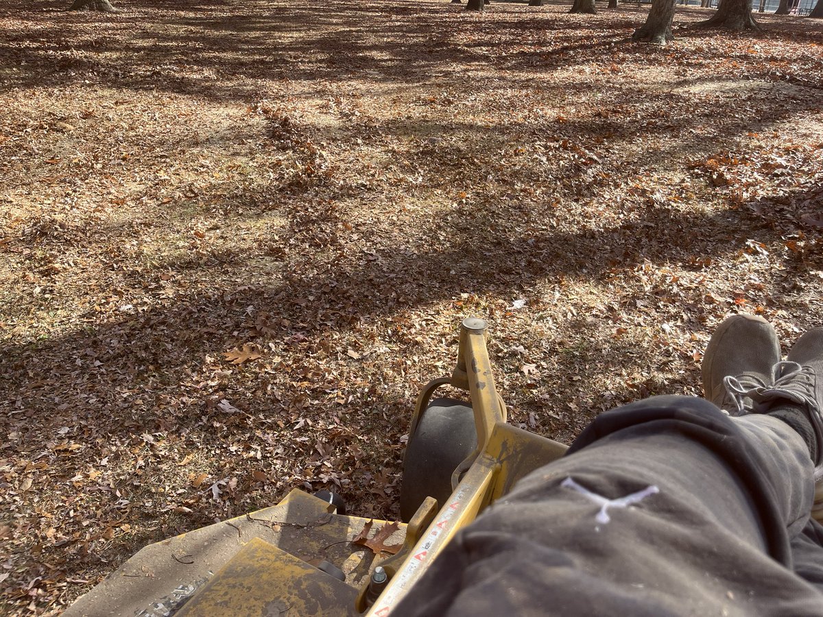 Autumn lost its luster