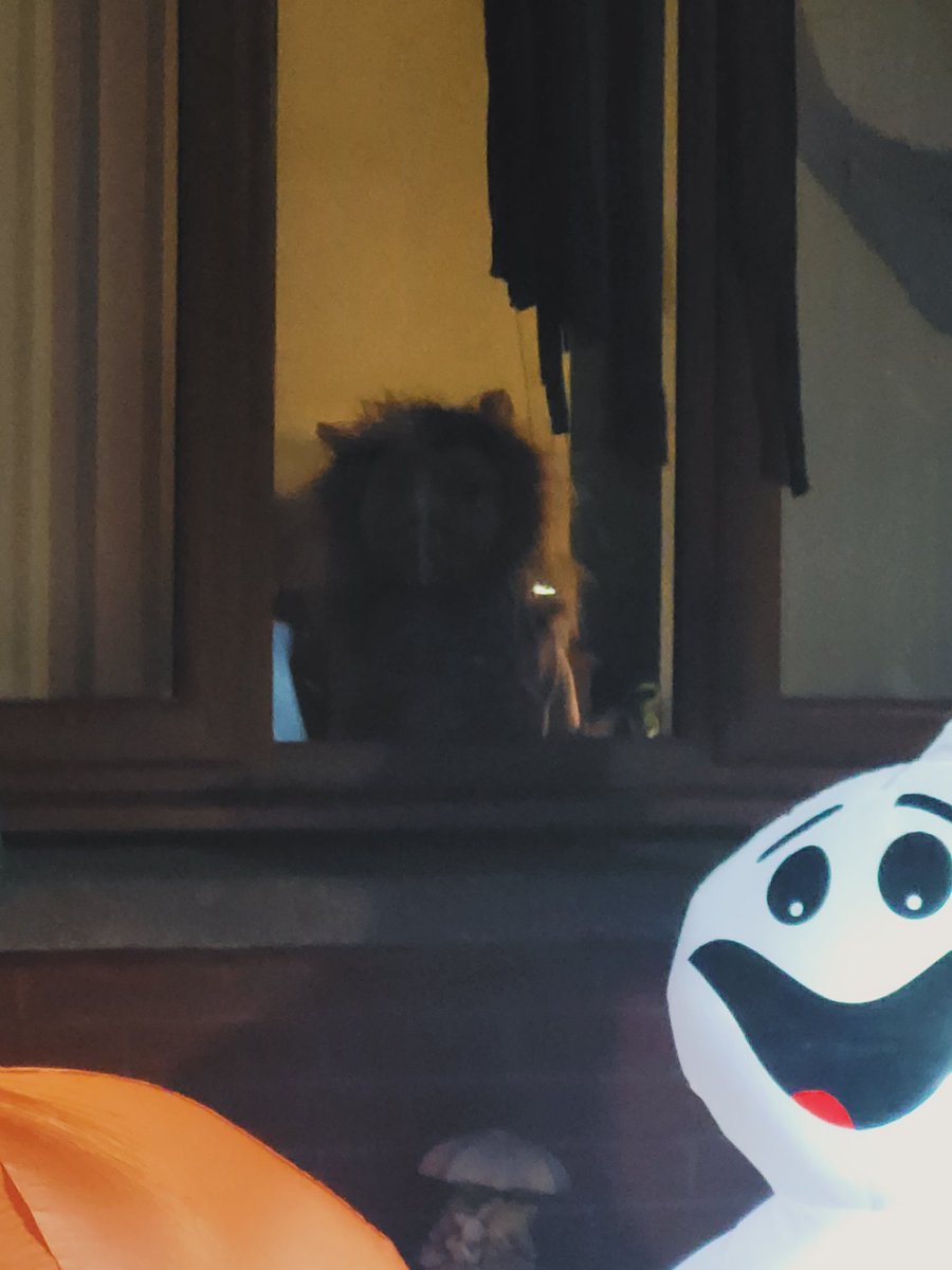 Ninatequila tweet media