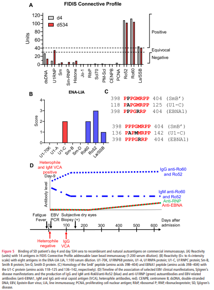 eular_ARD's tweet image. 🕵️  Unraveling the role of primary #EBV infection in developing #SjogrenDisease 

📅 Anti-Ro52 and anti-Ro60 present 7 days after infection underwent IgM➡️IgG switching
📈 7 months later, Abs EBNA1 &amp;amp; Abs U1RNP appeared concomitantly▶️ #molecularmimicry

🔗 bit.ly/48J7zDr
