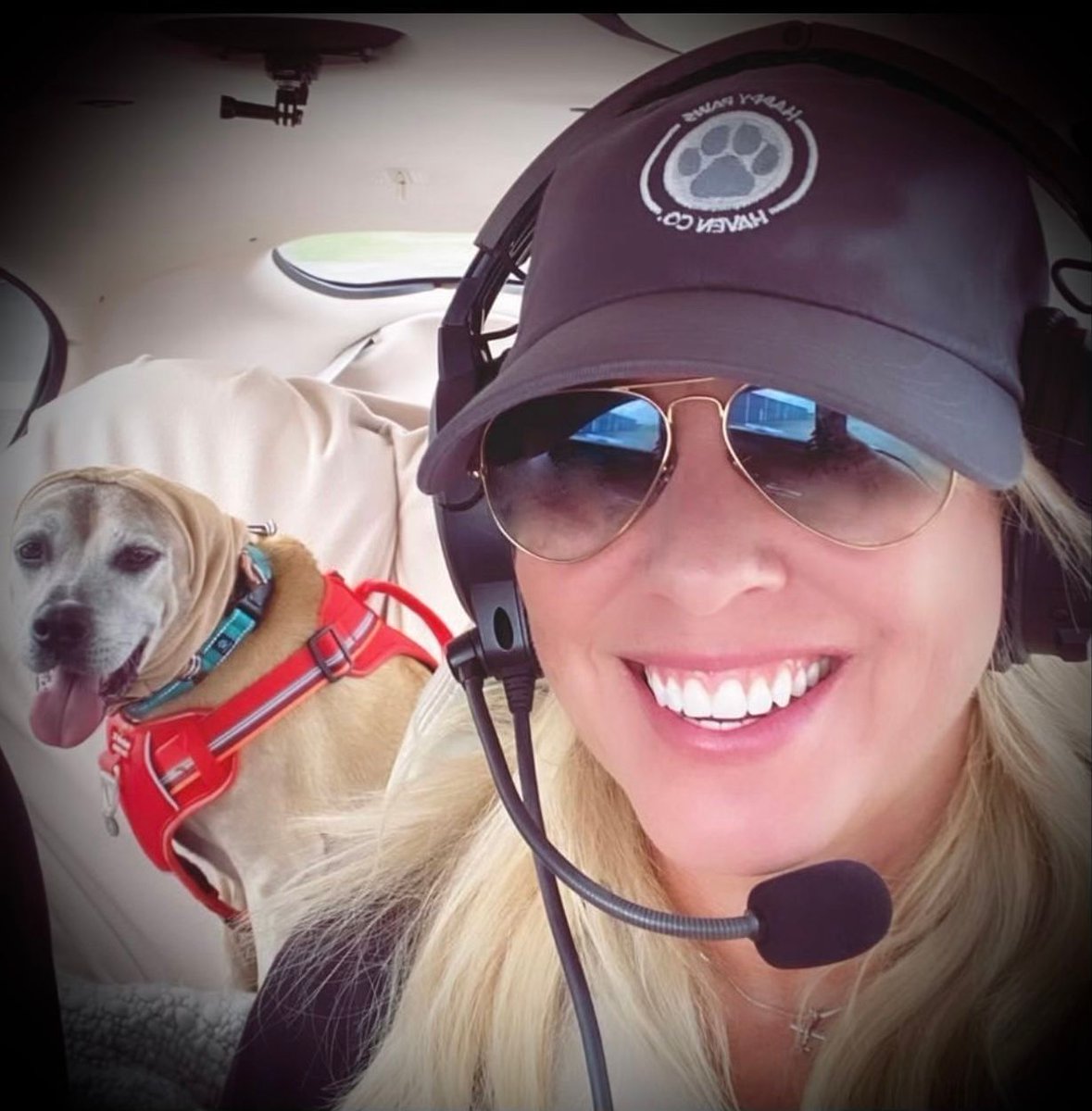 PilotsNPaws's tweet photo. This sweet senior pup has been given a fresh start and a new lease on life thanks to volunteer pilots! Here's to second chances and the amazing people who make them possible! #pilotsnpaws #freedomflights #dogrescue https://t.co/qtJ2KN51tz