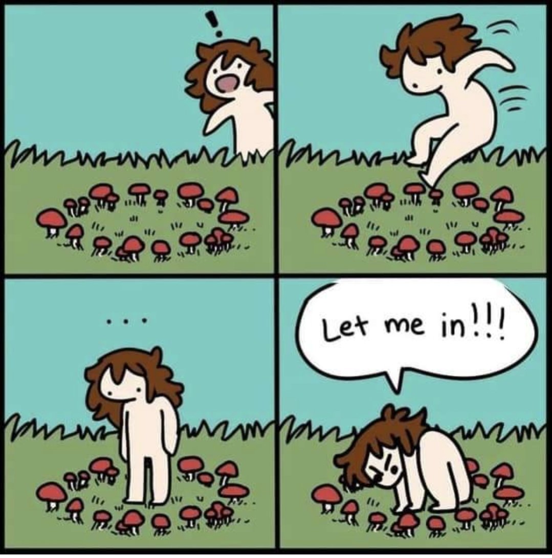 Be careful what you wish for 🌳🌳🖤🌳🌳