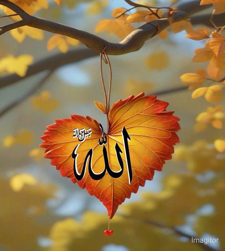 Good night X friends sweet dreams