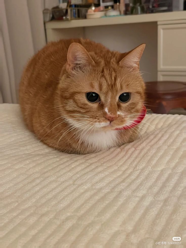 fresh out of the OVEN 🍞