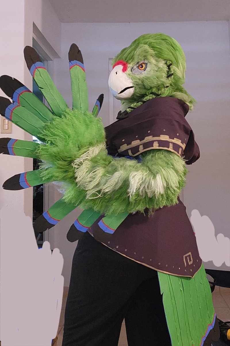 fluffycranberry's tweet photo. puerto rican parrot rito oc cosplay is now complete!

#totk #botw #legendofzelda #ritooc #puertoricanparrot #boricua https://t.co/mv08rhBf3W