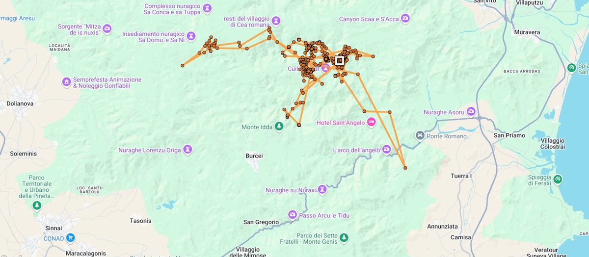 4Vultures's tweet photo. The 22 Griffon Vultures released in Villasalto (Sardinia) on 9 October have taken separate paths. Some headed north, one is venturing solo on the West coast and some other are near Dolianova mountains. Only three are coming back into the Villasalto aviary. #lifesafeforvultures https://t.co/UsFNOQcgOK