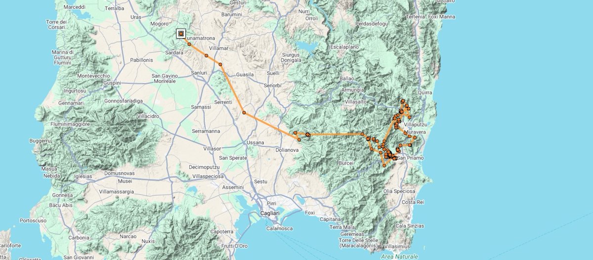 4Vultures's tweet photo. The 22 Griffon Vultures released in Villasalto (Sardinia) on 9 October have taken separate paths. Some headed north, one is venturing solo on the West coast and some other are near Dolianova mountains. Only three are coming back into the Villasalto aviary. #lifesafeforvultures https://t.co/UsFNOQcgOK