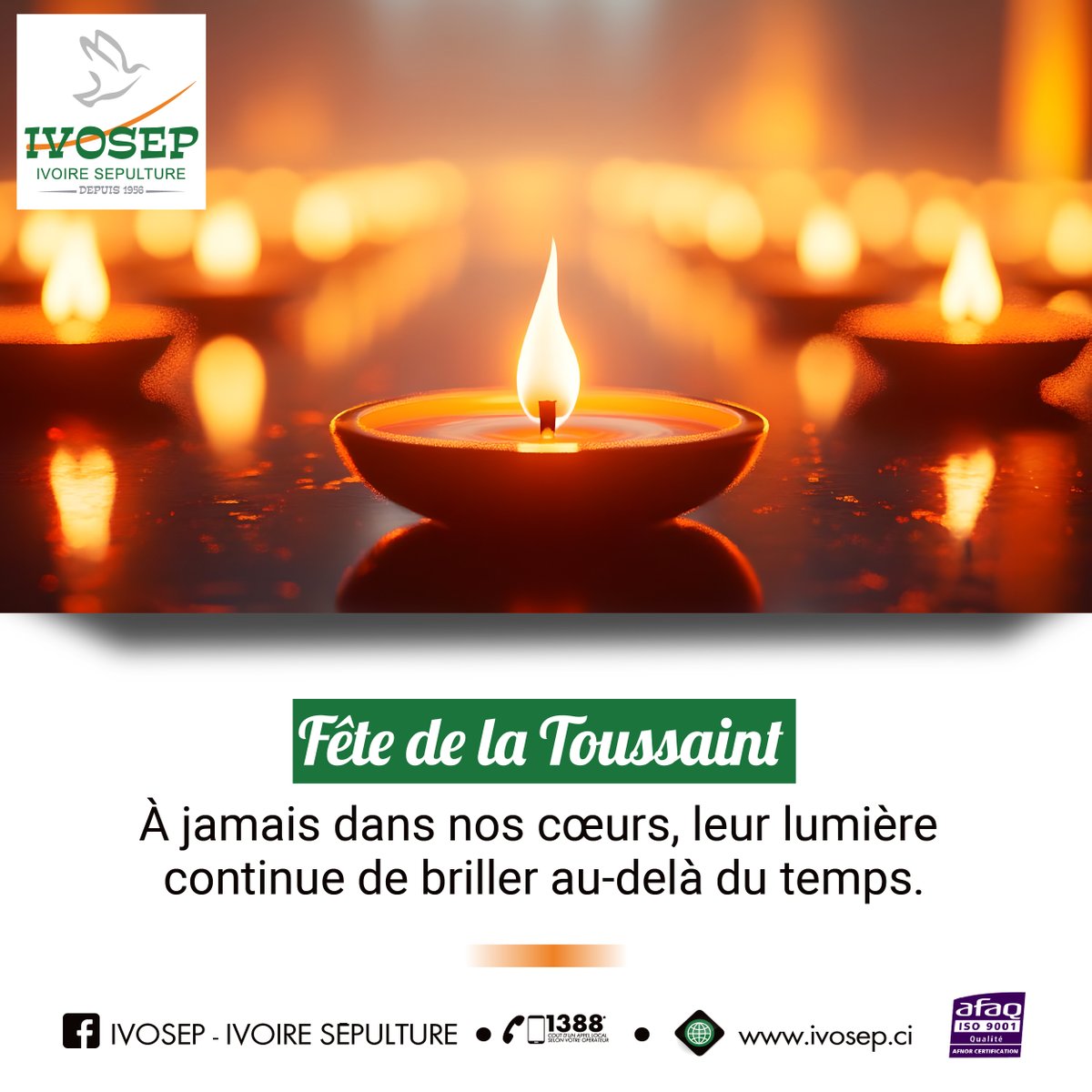 IvosepS's tweet photo. 🕊 À jamais dans nos cœurs. @IvosepS  vous accompagne avec des gerbes de fleurs pour honorer vos proches. Bonne fête de la Toussaint ! 
Nous vous attendons🙏🏽 https://t.co/1tleZbfaqJ