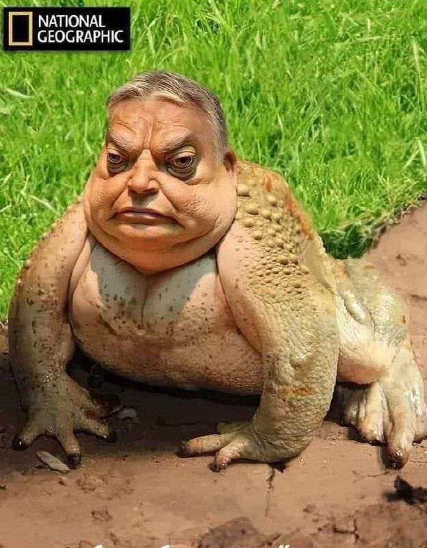 CatGeographer's tweet photo. @PM_ViktorOrban @SwedishPM Orcban out of the EU https://t.co/jqpy9KO2CE