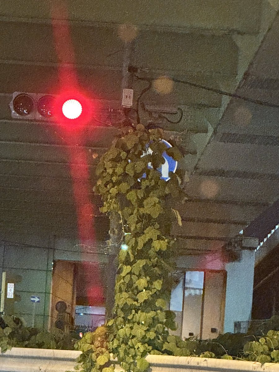 okayan0513's tweet photo. これええの？
#大日交差点　#もうすぐ食われる　#安全運転 https://t.co/NY6uGKBvpf
