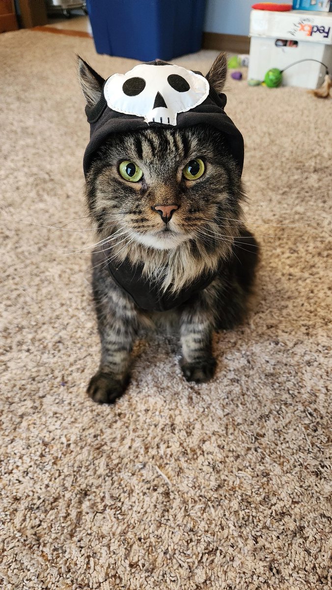 Happy Halloween 👻🎃