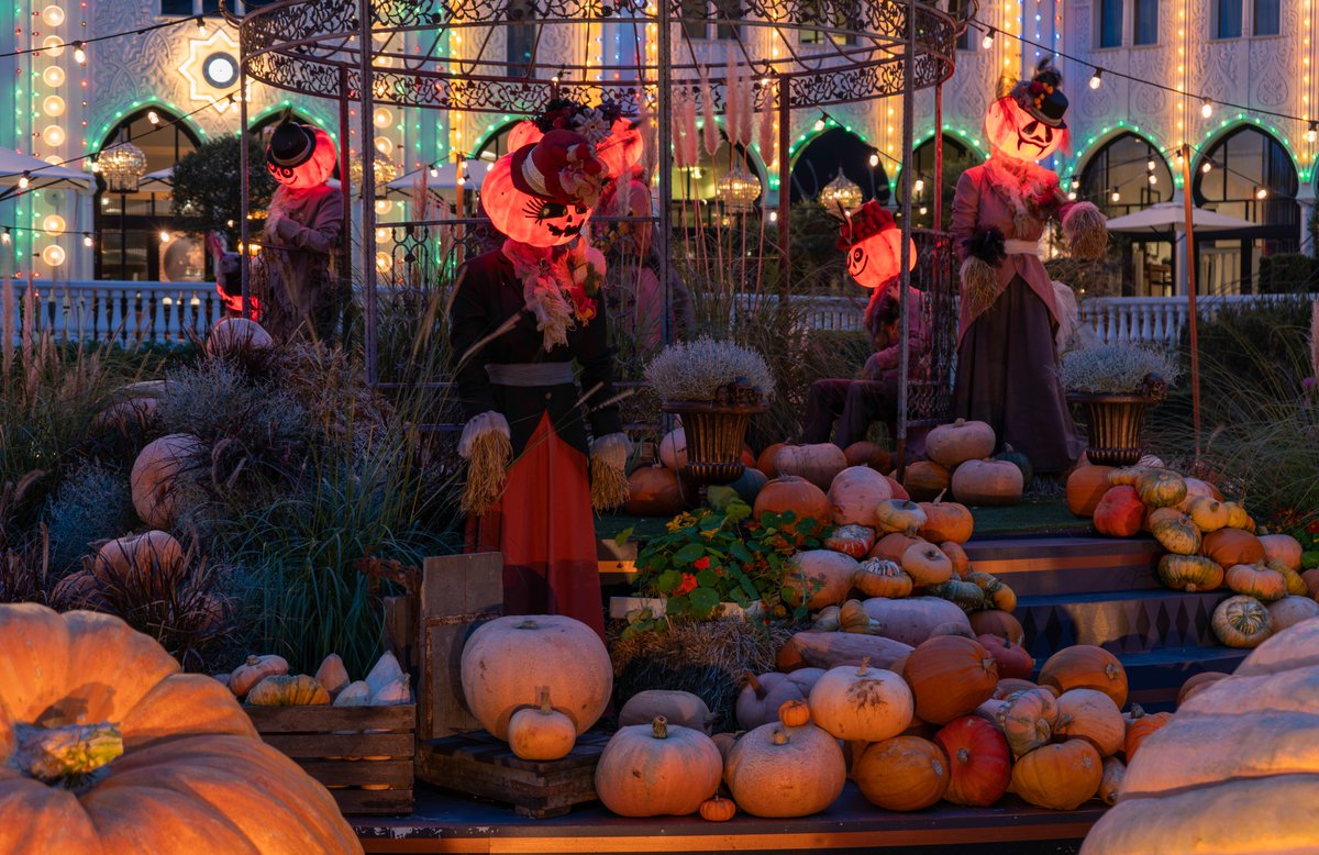 DorteHedengran's tweet photo. 🎃Happy Halloween🎃

#Denmark #SonyAlpha #streetphotography #photooftheday #October31th #ThursdayVibes #ThursdayMood #Thursday #Halloween 

📸Dorte Hedengran https://t.co/8yQuzuy42Y