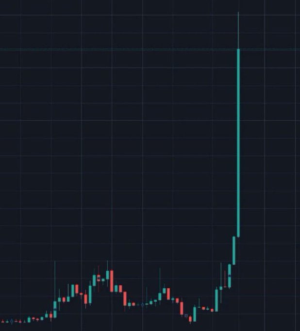 Borg_Cryptos's tweet photo. Which #ALTCON is the next to pump like that ? https://t.co/tyUjF4btRF