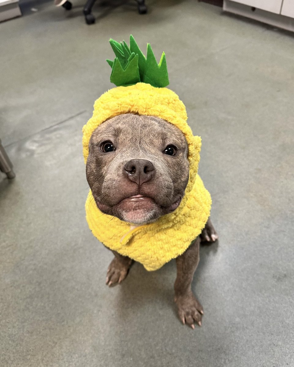 15/10 Foundation tweet media