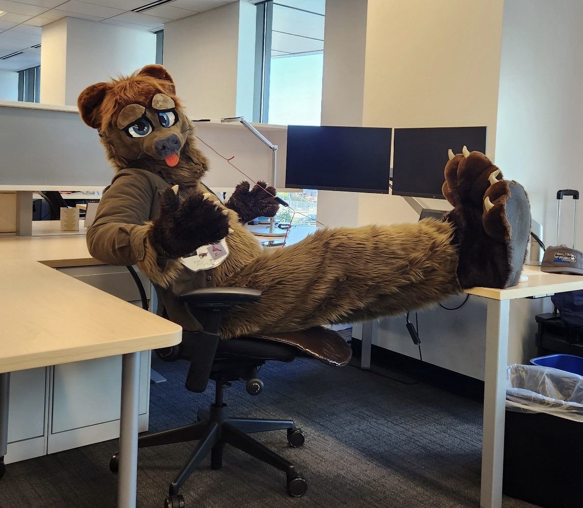 PonderBeaver's tweet photo. This beav went to work today! Didn’t win the #costume contest, but delighted my coworkers &amp; tried to be a good ambassador for the furry community. #Halloween #furries #fursuits #furriesatwork #officefursuiting 

✂️: @twotailsfursuit 
📸: a coworker https://t.co/VVWRJiy36w
