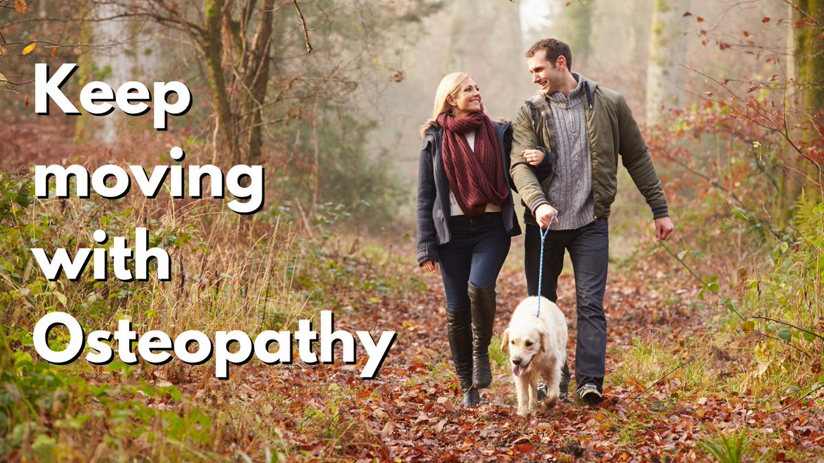 Stay adventure ready this Autumn with the help of your local Osteopath!

avenuehealth.co.uk

#sportsinjury #mountainclimbing #summit #climbers #outdooradventures #adrenalinerush #osteopathsdoitwiththeirhands #osteopathy #holistic #cheam #worcesterpark #surbiton