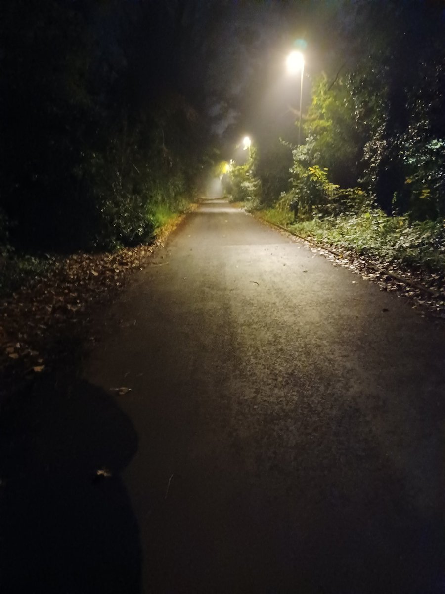 hennrogg's tweet photo. Walking down this dark misty path on halloween......This is how people end up on the front page of The Daily Pumpkin https://t.co/b6mAYjYHBc