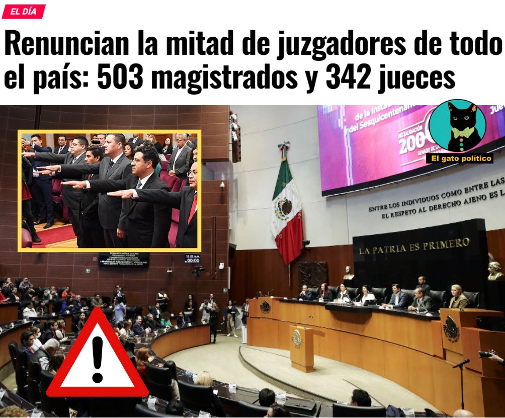 elgatopolitico_'s tweet photo. 🔴🔴¡Se acabó la fiesta! 
Junto a Norma Piña y sus secuaces de la SCJN, también anunciaron su renuncia 503 magistrados y 342 jueces. Que no quieren participar en las elecciones, dicen. ¡Sí, que se larguen! 🤑🤑
➡️ ➡️ https://t.co/lYqxB4Vzaw https://t.co/X6hDGuXU1I