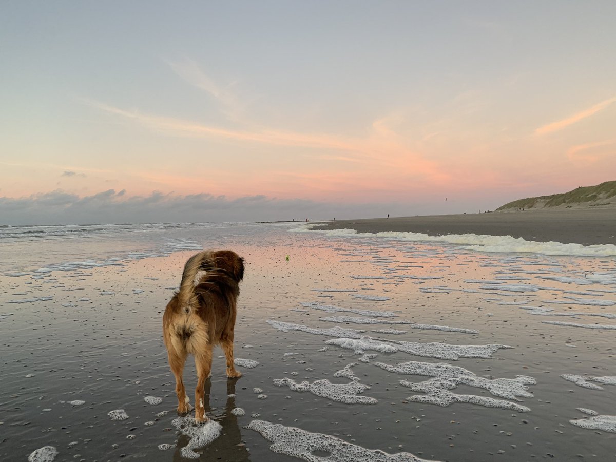 Wat een mooi zonsondergang! #Ameland