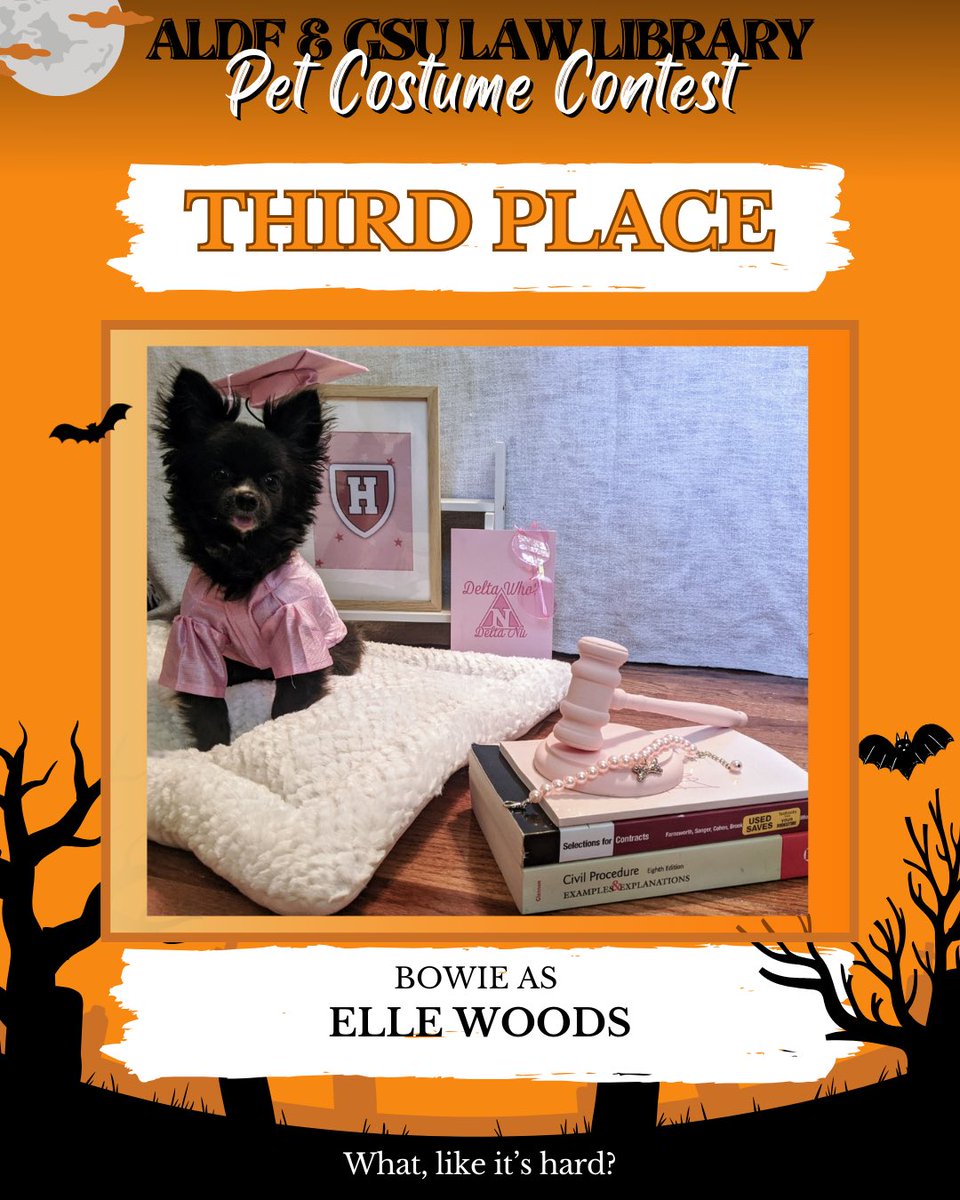 gsulawlib's tweet photo. The law library partnered with GSU’s Animal Legal Defense Fund this year to host a virtual pet costume contest. It was tough to decide among all the cuteness, but the librarians have chosen the winners!

Happy Halloween! 🎃👻 https://t.co/ubdBTjrOd2