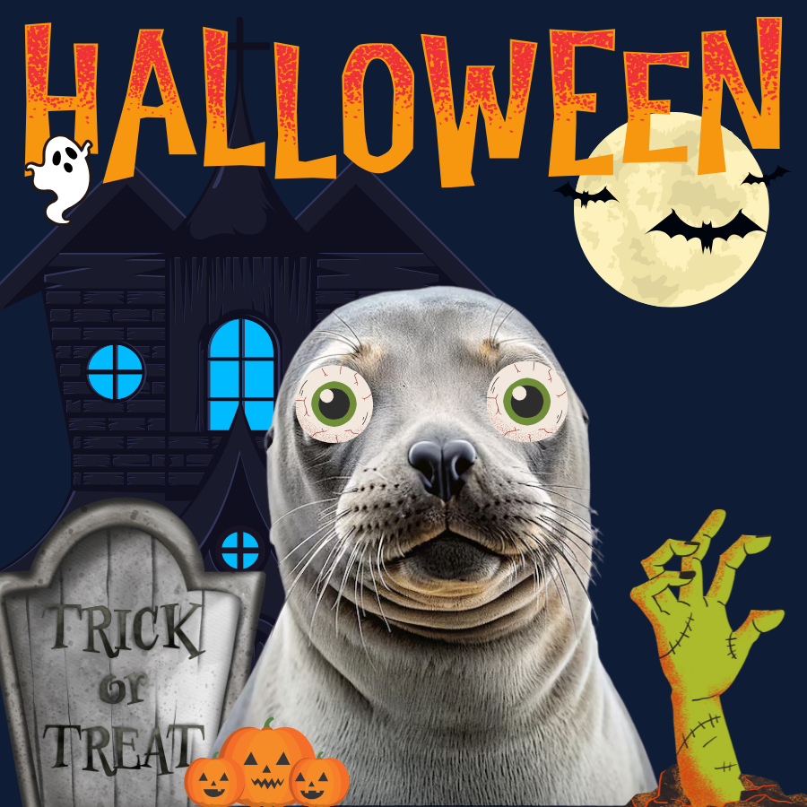 poppyonsui's tweet photo. Happy Halloween from $POPPY! 🎃 Trick or treat? Hope your bags are as full as the candy bowls tonight! 🍬🦭

https://t.co/5RDSZ8WM5e

#POPPY #SUI #MEME #MEMECULT #MOONSHOT https://t.co/aStITxXXB7