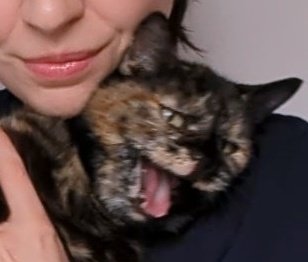 is that keri? tweet media