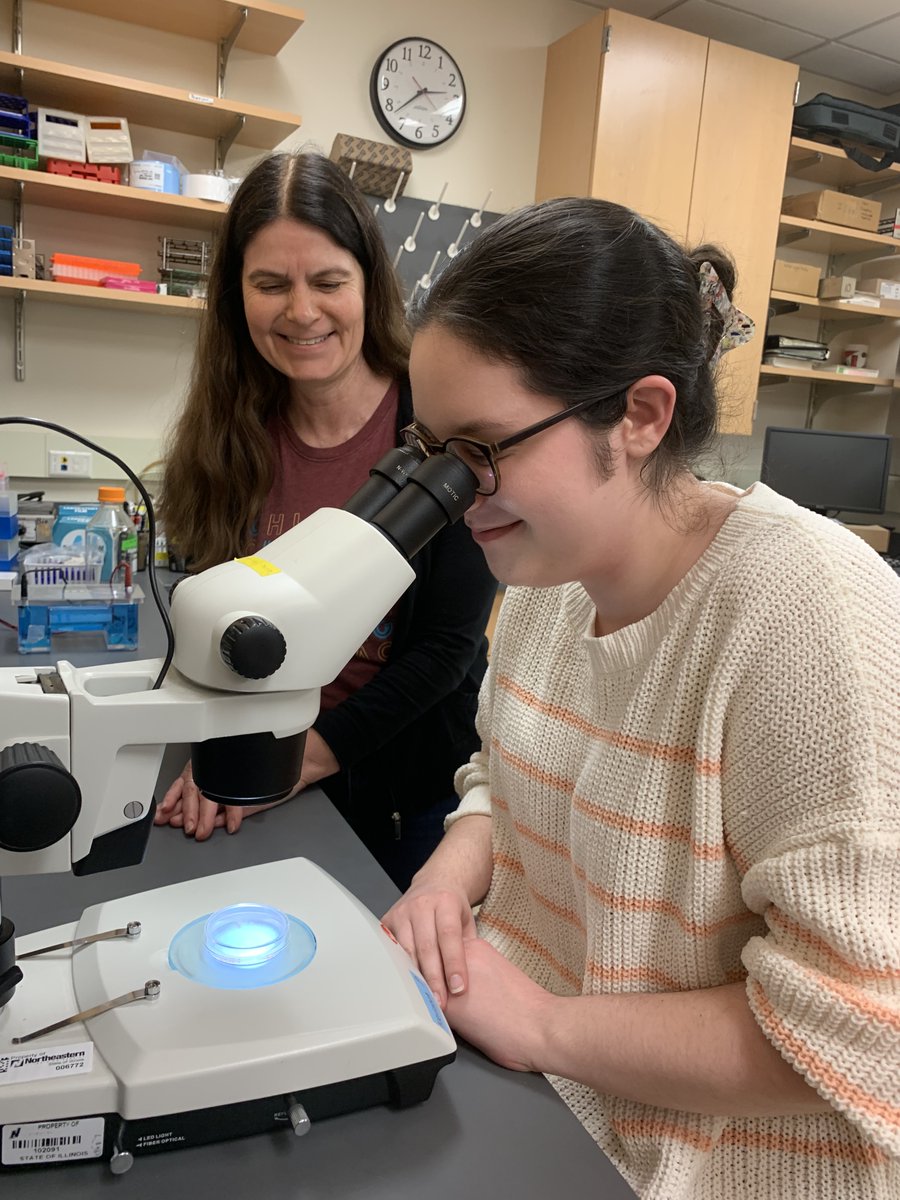 Save the date! and join us this Nov. 6 from 3:00 - 4:30pm in room SU 214 for a presentation by the 2024 Brommel Distinguished Research Professor Dr. Cindy Voisine.

Dr. Voisine will present her work titled "Using Worms to Study Human Diseases" We look forward to seeing you there!