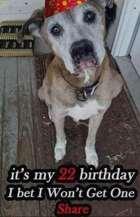 Azir91's tweet image. Curious about the mystique of Azir azzuma?