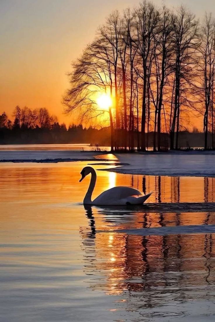 Asslam o Alikum 

Good Morning X Fam

Have a good day